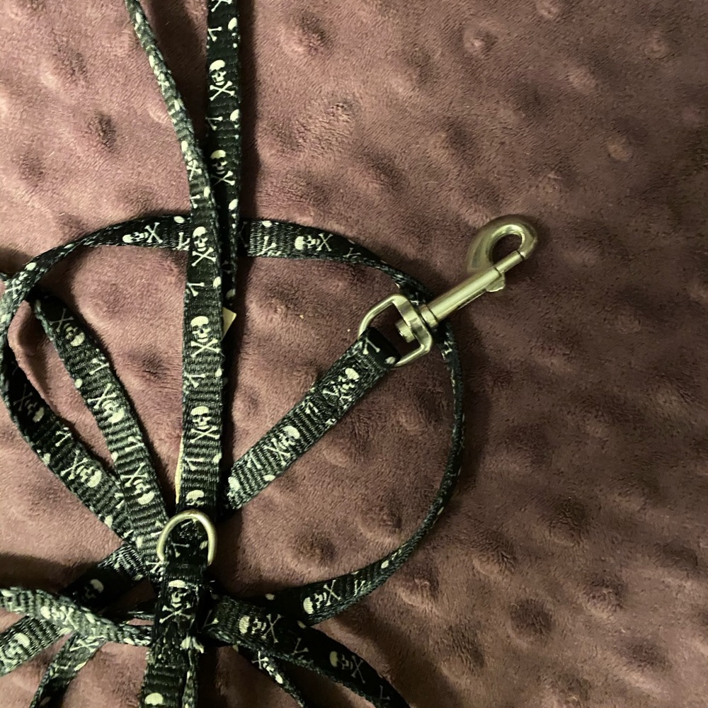 NWOT Petco Leash 60” (without wrist loop)  x 1/2”